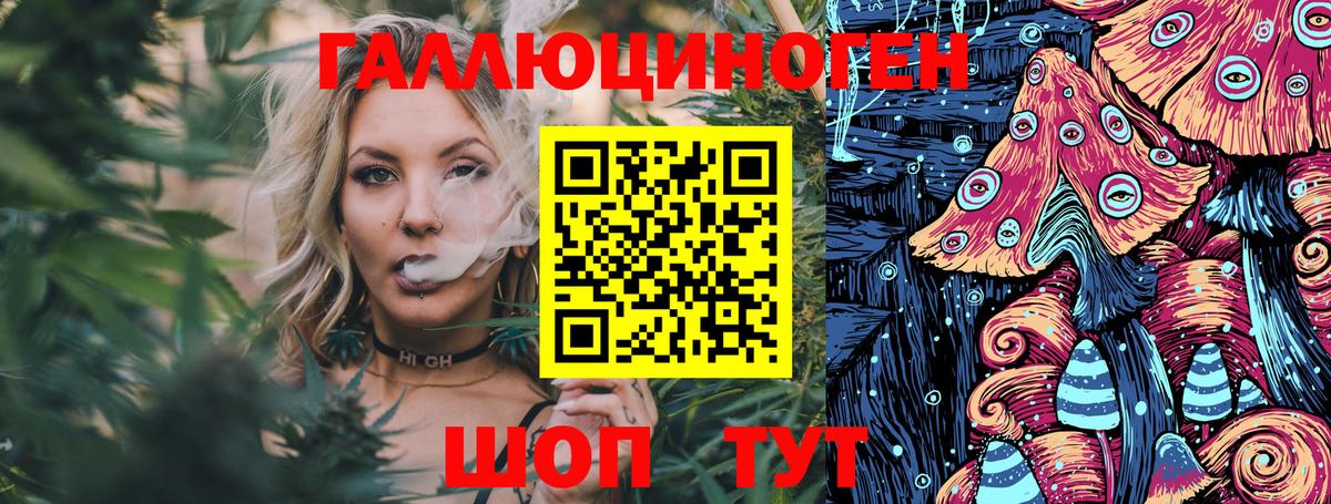Новозыбков  Псилоцибиновые грибы Psilocybe  Вход с VPN  Галлюциногенные грибы Cubensis 