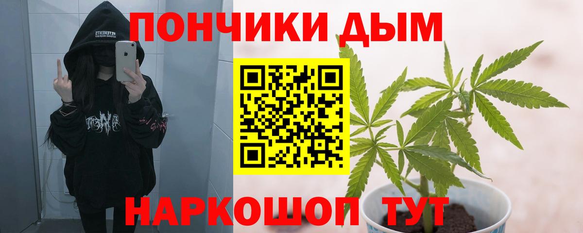 Бошки Шишки планчик  Канабис Ganja  Новозыбков  Вход с VPN  Марихуана планчик 